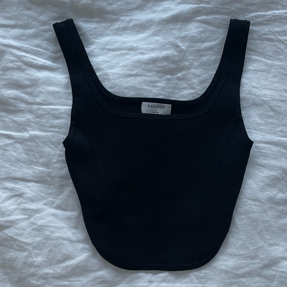 Aritzia Babaton Sculpt Bustier